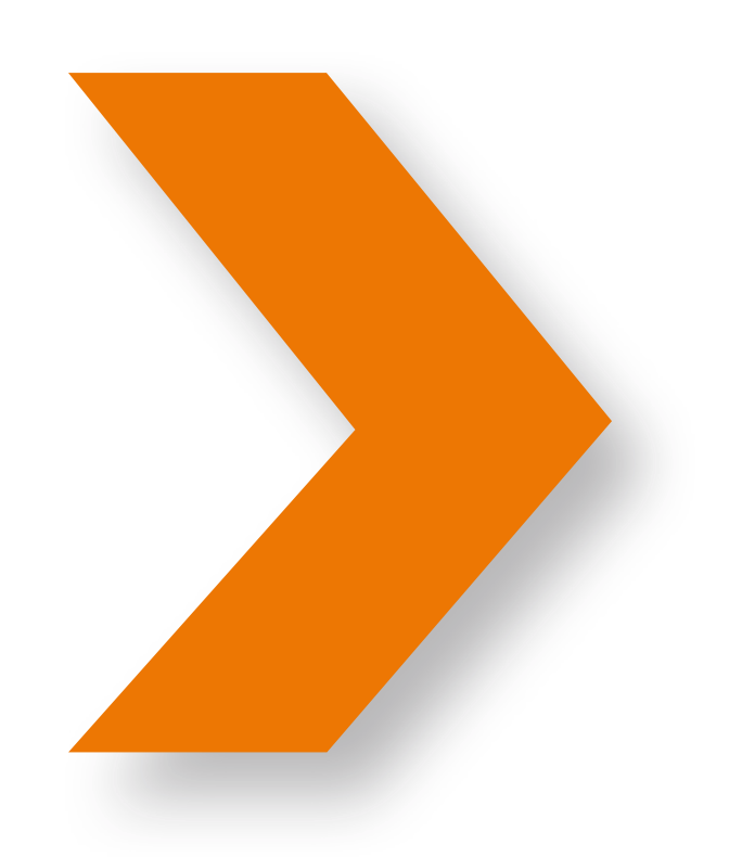 Logo Revobyte arancio